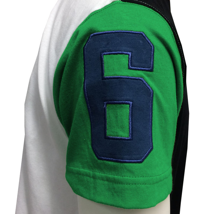 GUINNESS SIX NATIONS COLOUR BLOCK PREMIUM T-SHIRT